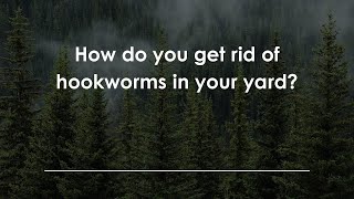 How Do You Get Rid Of Hookworms In Your Yard?