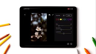 Silently Editing Photo on ipad mini 5 | Lightroom screenshot 2