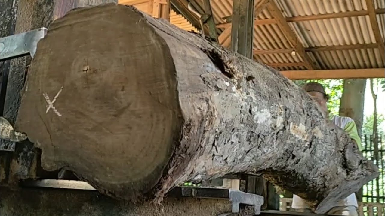 Rare teak wood! Hunted by collectors of doreng teak wood, equivalent to rosewood, with high value