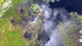 Calusa Waterkeeper group meets to discuss the future of our waterways