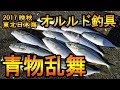 【青物乱舞】実釣・オルルド釣具！日本海ショアジギング 2017晩秋