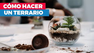 ¿Cómo hacer un terrario?