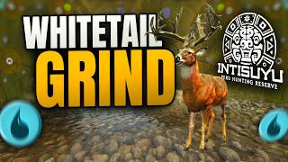 Whitetail Grind on the PERU Map! | 500+ Harvests (Shorts)