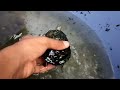 limpiando el estanque de las tortugas