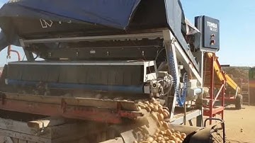 Whole Potatoes sorting with TOMRA 3A