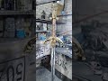 Мечи. Сувенир.