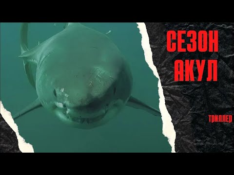 ЛЮБИТЕЛЯМ ПО-ОСТРЕЕ! БОМБОВЫЙ ТРИЛЛЕР! ЗАСТАВИТ ПОНЕРВНИЧАТЬ ЛЮБОГО! Сезон акул.