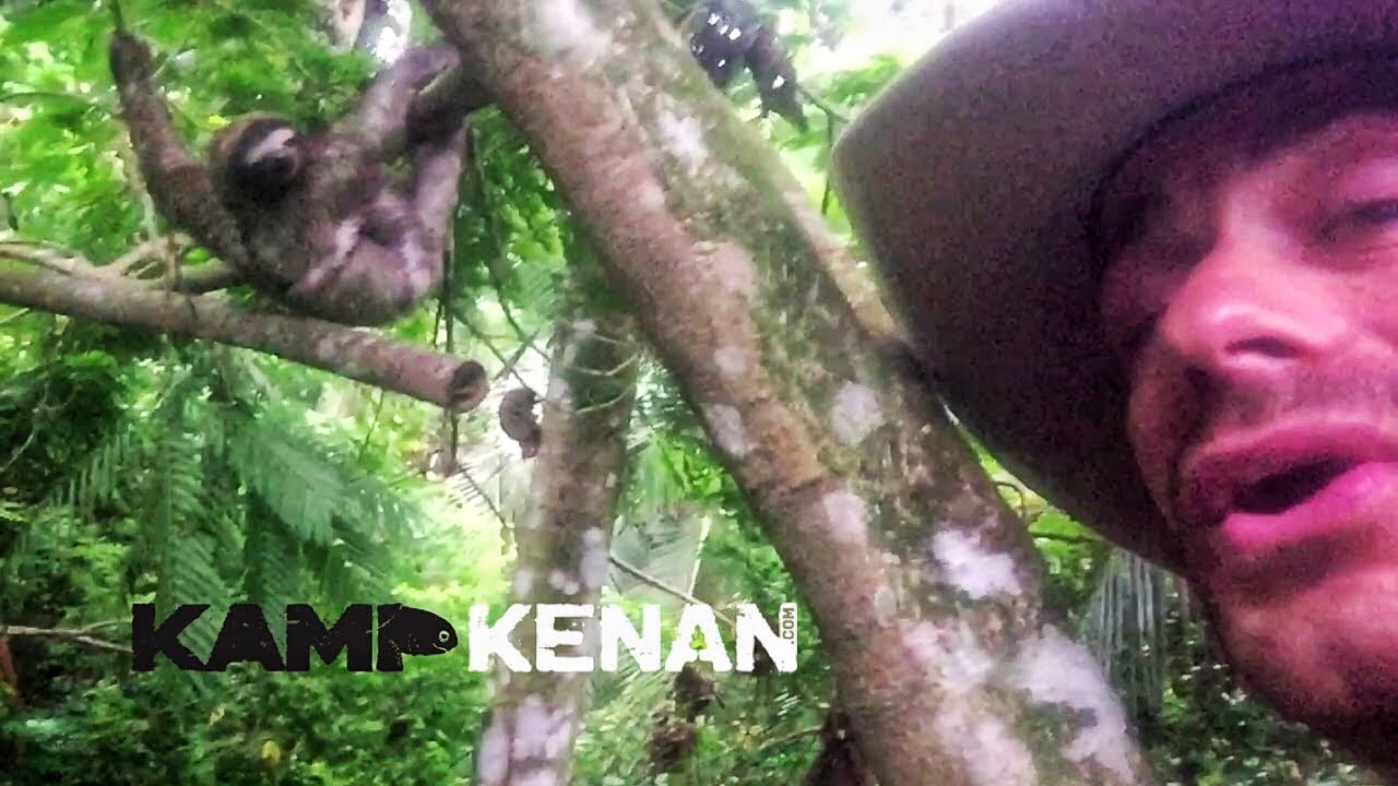 to escape or avoid Kenan Finds a Wild Sloth in Costa Rica!