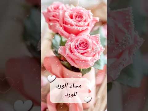 مساء الورد للغالين بطاقات مسائية حالات واتس مساء الخير مساء الورد مسائيات ستوريات نور