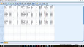 Part 2: The Essentials of SPSS
