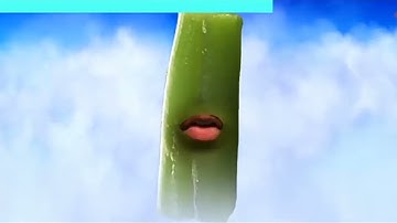 SML theory: Jeffys Green Bean