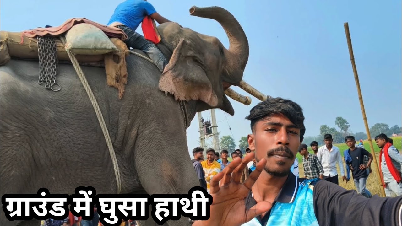 Final match के दिन ग्राउंड में हाथी घुस गया फिर क्या हुआ देखिए 