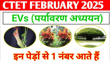 Ctet EVs (पर्यावरण अध्ययन) important topic | nepenthes croton plants | CTET February 2026 #ctet2026 