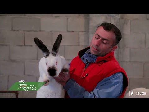 #ფერმა მრავალპროფილური მეურნეობა სოფელ კრწანისში