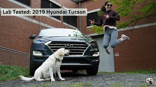 2019 Hyundai Tucson Ultimate: Andie the Lab Review!