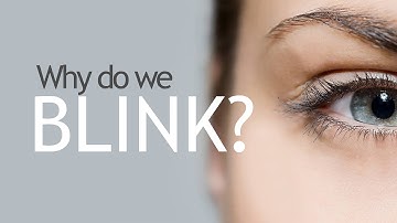 Why Do We Blink?