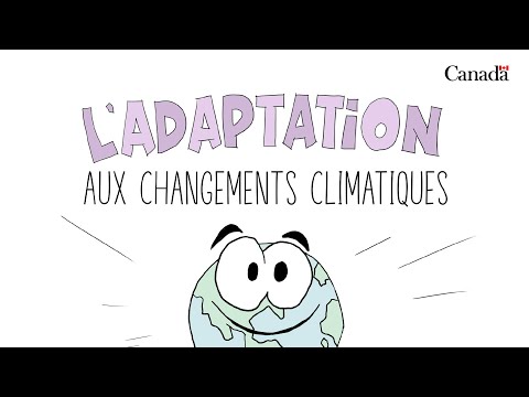 Vidéo: Qu'est-ce que l'adaptation et la variation?