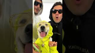 Enes Batur Mert Eren Bulbul İnstagram Tiktok Vidosu