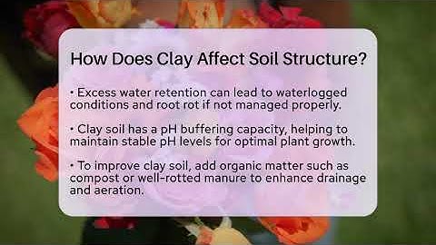 How Does Clay Affect Soil Structure? - The Plant Enthusiast
