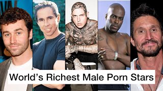 World's Richest Male Porn Stars