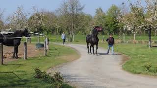 Saillie Abcis De Larpenteau Avec Berline Du Caroi