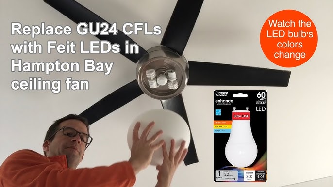 How To Remove Globe From Hampton Bay Ceiling Fan | Shelly Lighting