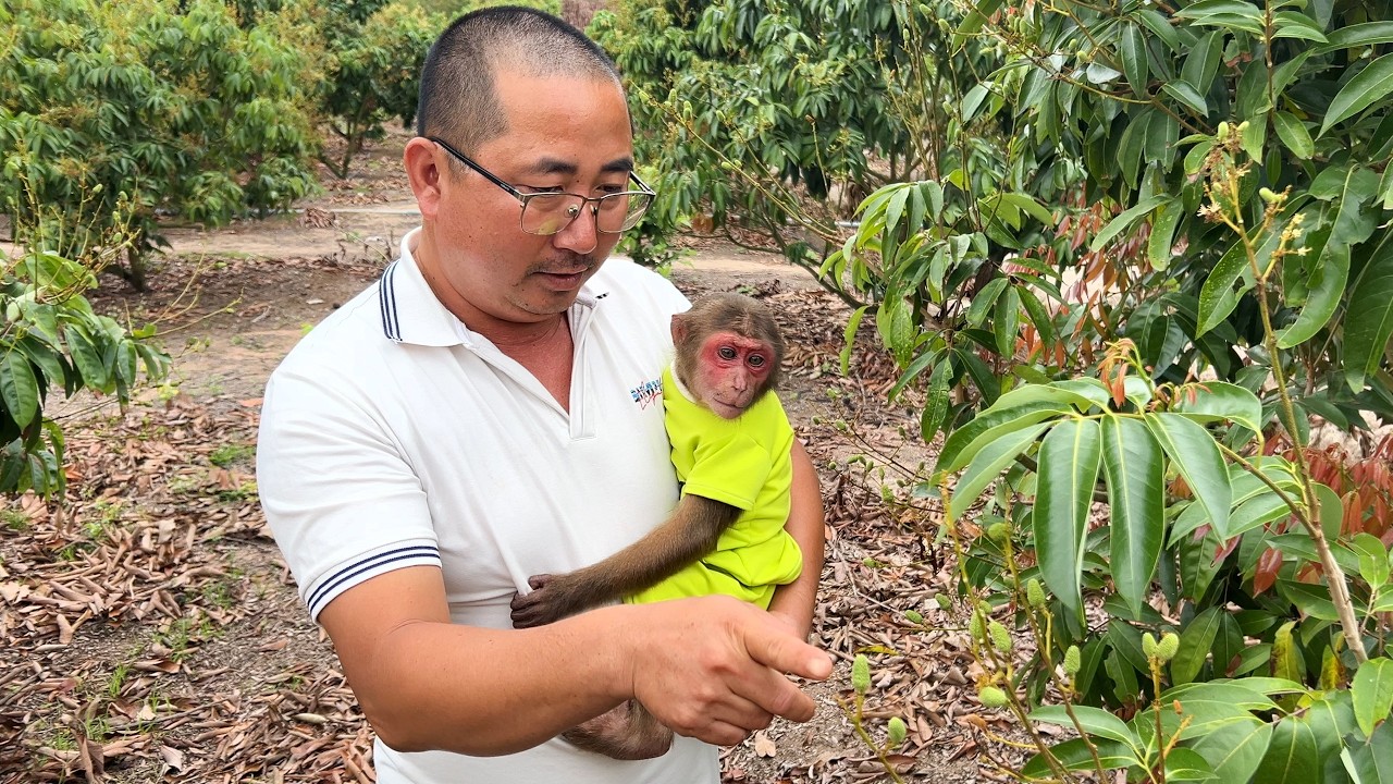 Su monkey's new life 🐒💕