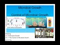 Growth and Control of Microbial Growth