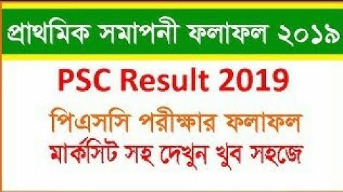 প্রাথমিক/ইবতেদায়ী শিক্ষা সমাপনী পরীক্ষা রেজাল্ট | PSC Result  | Bangla Tech Series 🌸