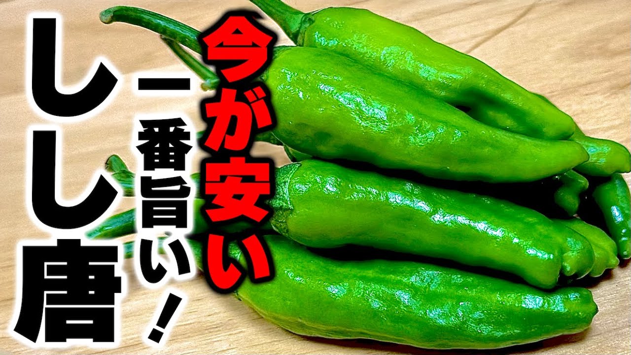 【材料２つだけ】この夏絶対に食べてほしい！旬のししとうを使った『ししとうのピリ辛炒め』の作り方！