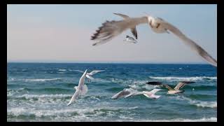 En güzel isimler ona AİT (Esmaü'l hüsna) 