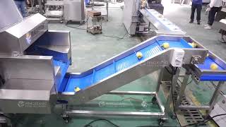 Thailand Baby Pineapple Automatic Washing Peeling Drying Packing Line
