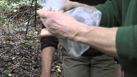 A guide to kit for checking dormouse nest boxes