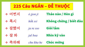 Tặng Bạn 225 Câu giao tiếp NGẮN và DỄ THUỘC trình độ Căn Bản | 실전 한국어 225문장