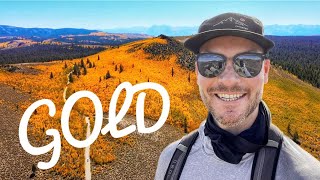 THE BEST TIME IS NOW | Eastern Sierra Nevada Mountain Fall Color - California's Most Beautiful Place by Scott Fitzgerald 2,097 views 1 year ago 11 minutes, 54 seconds