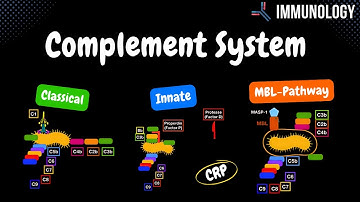 Complement System Pathways (Classical, Alternative, MBL) + QUIZ | Immunology