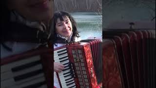 Wiesia - ACCORDION #Shorts - KISS ME