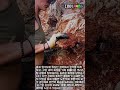 자연산 크리스털 광물 발굴 작업 #worker #process #crystal #mining #gemstone