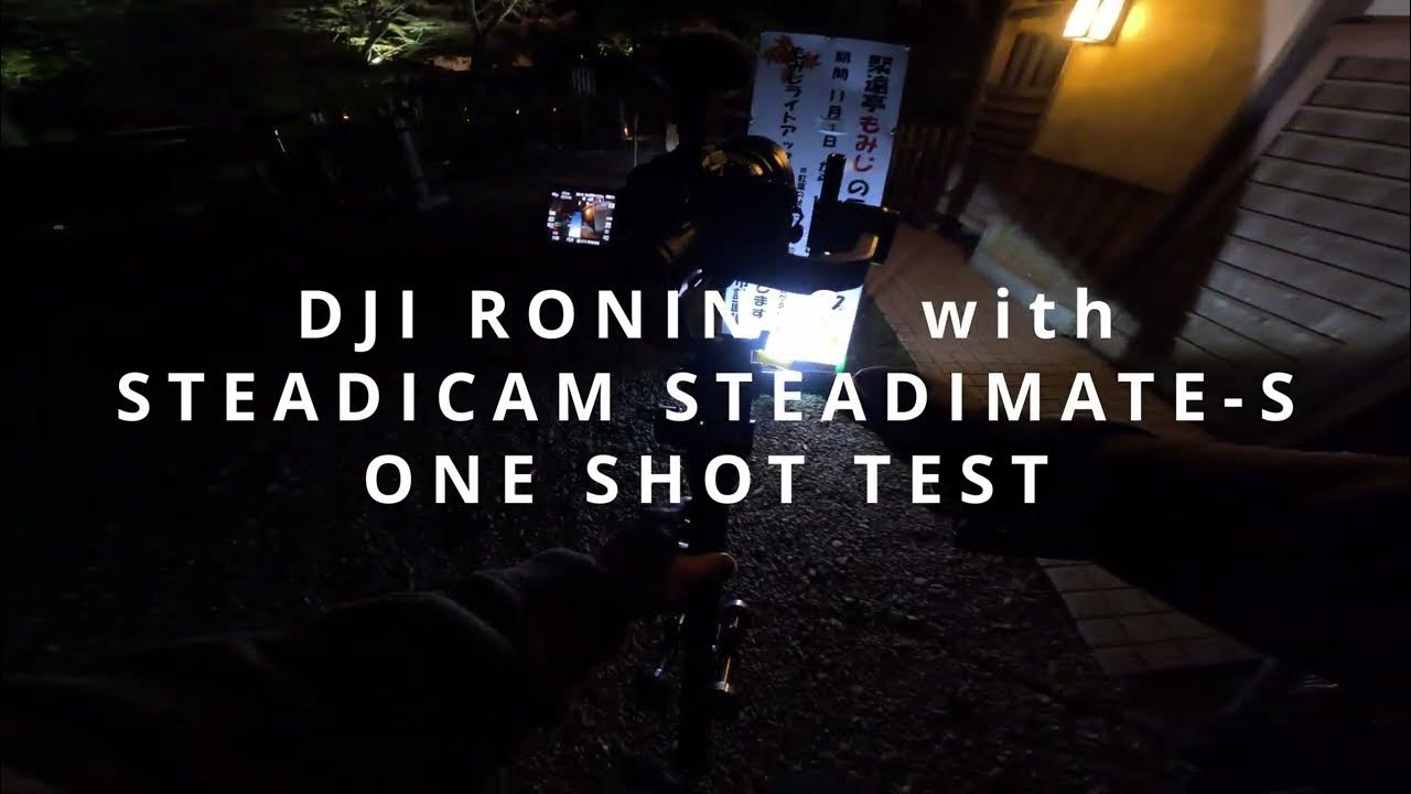 DJI RONIN-S & STEADICAM STEADIMATE-S TEST - YouTube