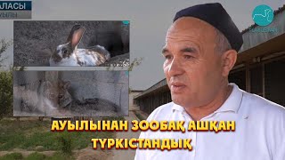 Қарнақ ауылының тұрғыны ауылынан зообақ ашқан