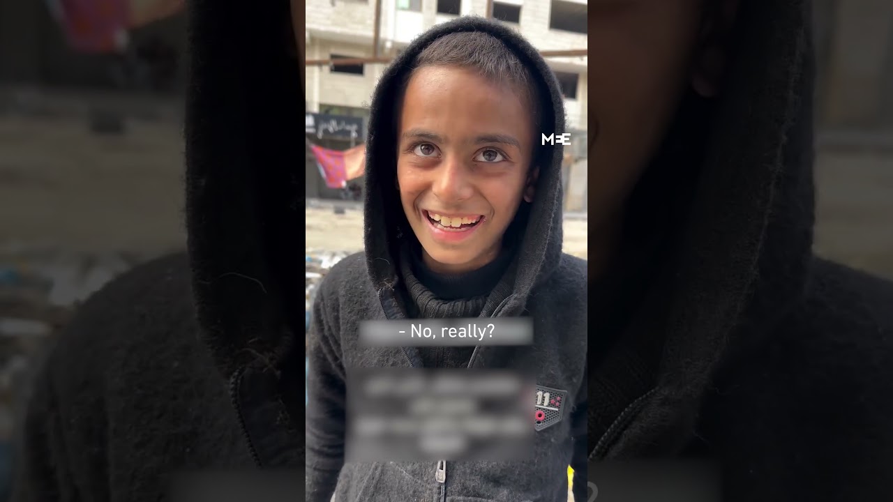 Palestinian boy feeds hungry cats while having nothing to eat himself