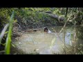 Pescando tilapias gigantes y la pesca se volvió tan..