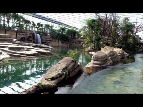 Exclusief kijkje in nieuw themapark Wildlands Adventure Zoo Emmen