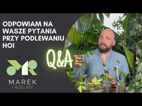 Wideo: Paproć ZWIĄZANY Z WUSCHEL Gen HOMEOBOX Działa Zarówno W Pokoleniach Gametofitu, Jak I Sporofitów