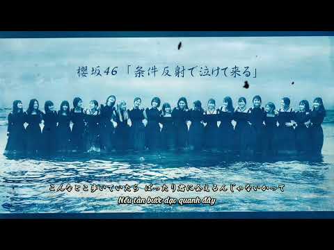 [Vietsub] Jouken Hansha de Nakete Kuru -  Sakurazaka46 | 櫻坂46 「 条件反射で泣けて来る 」