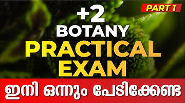 PLUS TWO BOTANY LAB EXAM PART 1 | PLUS TWO PRACTICAL EXAM | EXAM WINNER