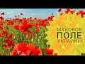 МАКОВОЕ ПОЛЕ УКРАИНЫ / POPPY FIELD OF UKRAINE