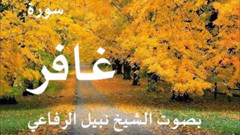 سورة غافر بصوت الشيخ / نبيل الرفاعي 40