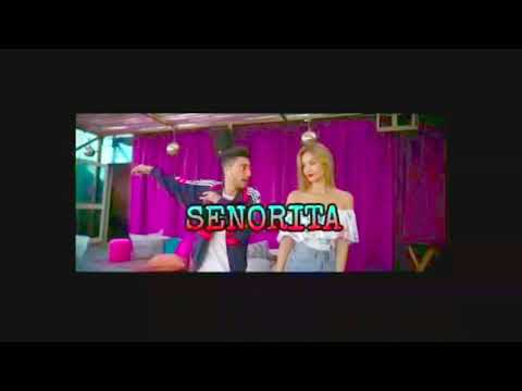 7Liwa SenõriTa Ft Dj Hamida Clip Officiel