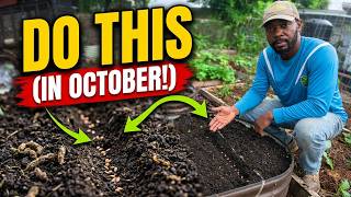🥕 The BEST Time to Plant Carrots in Florida? I Finally Figured It Out